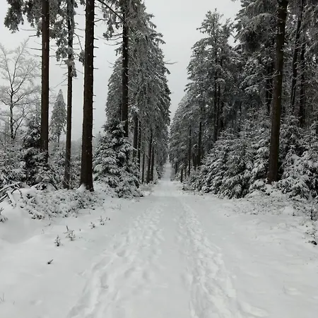 Unterkunft Nahe Winterberg 3 Personen Apartment *